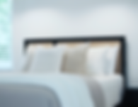 Screenshot 2024-08-11 at 3.36.12 PM.png