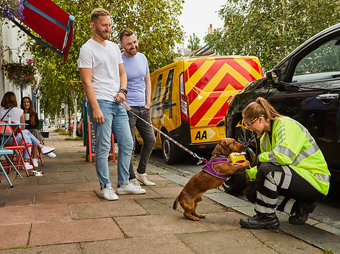 An AA woman kneeling down saying hello to a couples dog. The AA van is in the background
