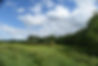 Chedgrave Common