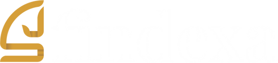 Soluciones financieras transparentes: