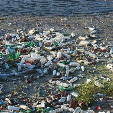 Los mexicanos tiran 90 millones de botellas a calles, bosques, ríos y mares cada año