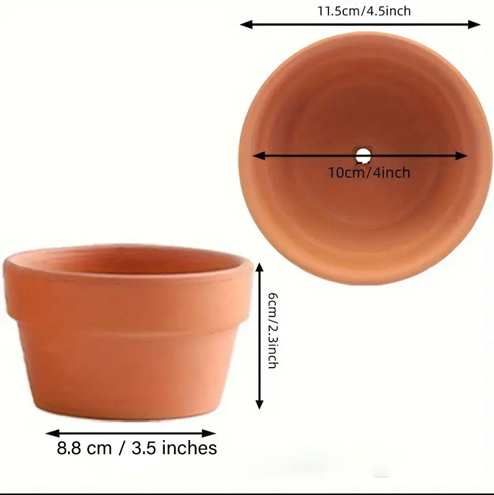 Thumbnail: Terracota Pot with Succulent Candles