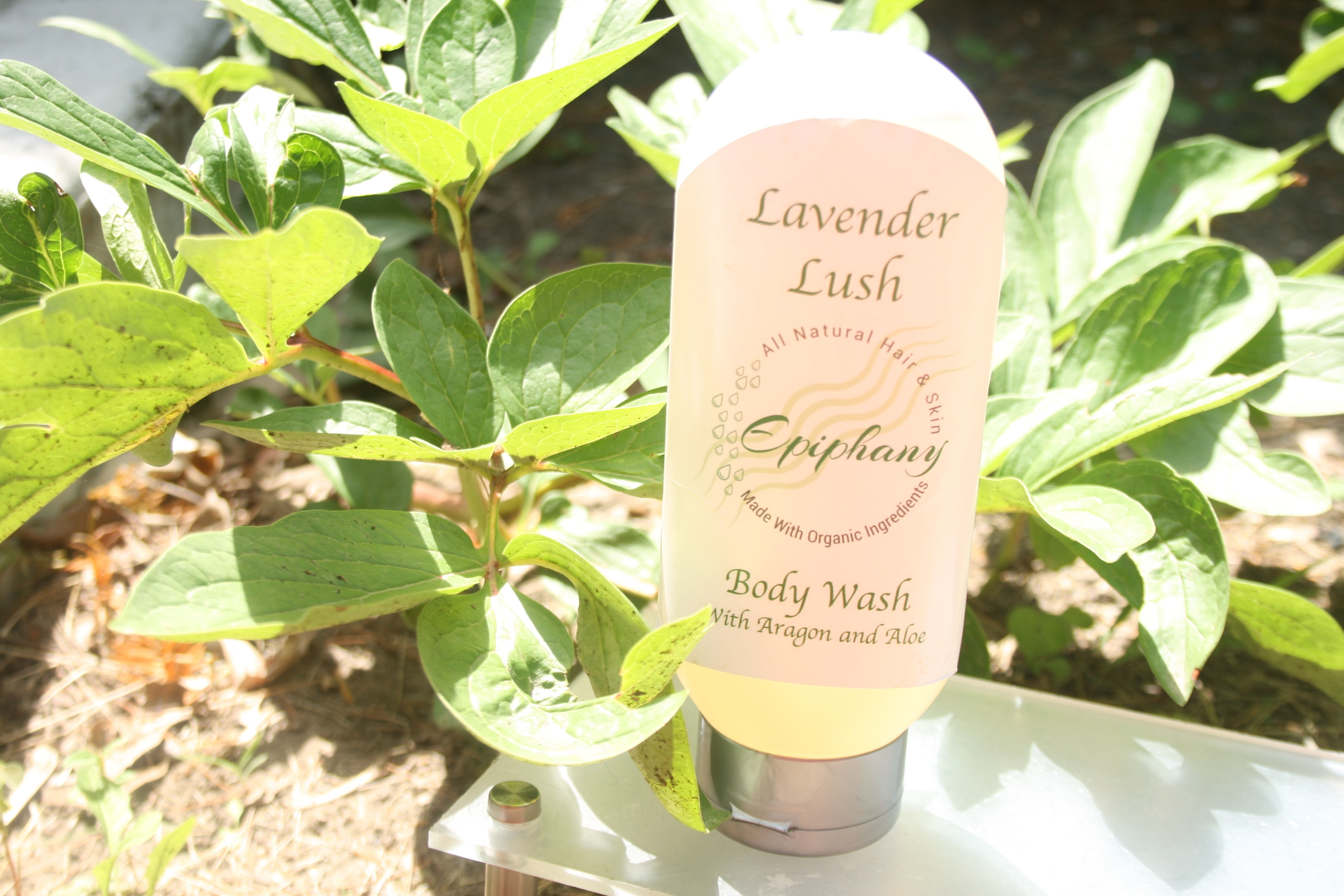 Lavender – Lush Body Wash