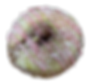 Lemon Raspberry