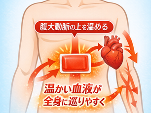 【コラム】そのカイロ、貼る場所が違うかも？体が本当に温まる正しい位置