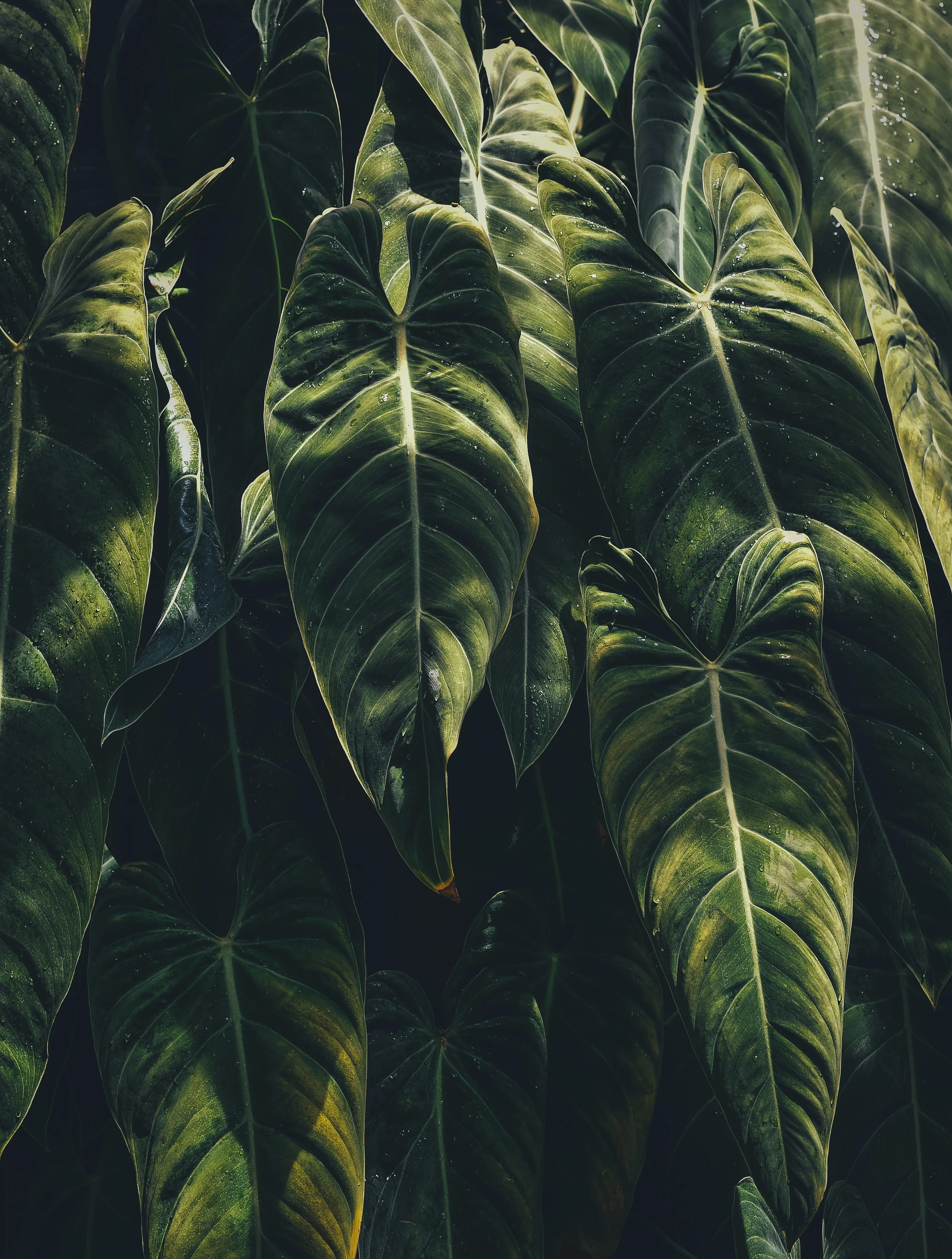 px-annie-spratt-wMqPJs2x0-A-unsplash.webp