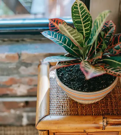 px-pexels-charlotte-may-5824800 (2).webp