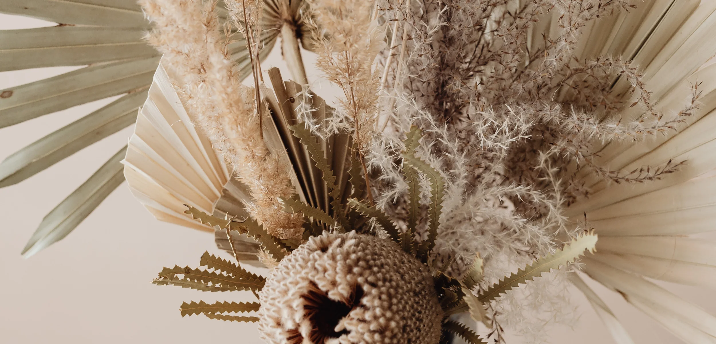 px-Earthy Background Images WIX (5).webp