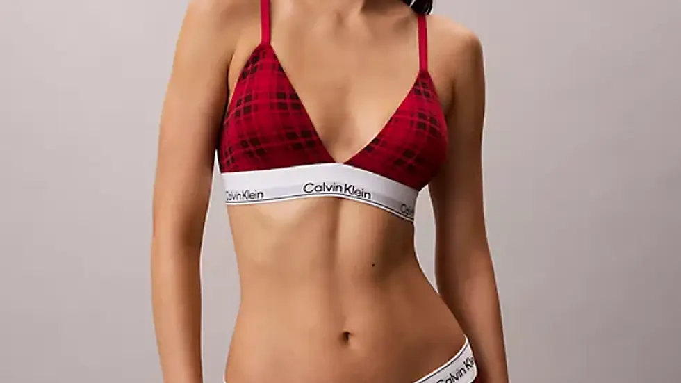 Christmas lingerie by calvin klein cotton bikini lingerie in red and black plaid.