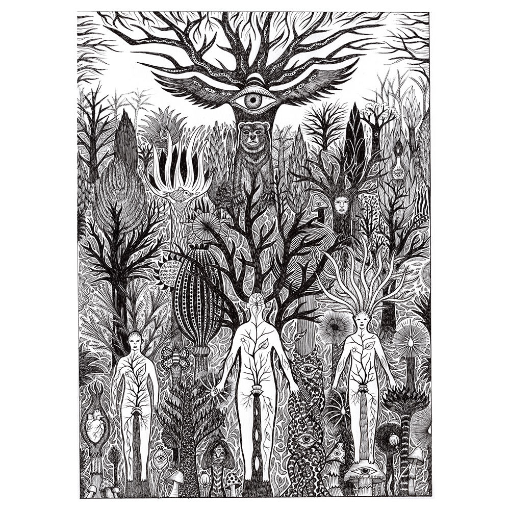 Les gardiens de la forêt