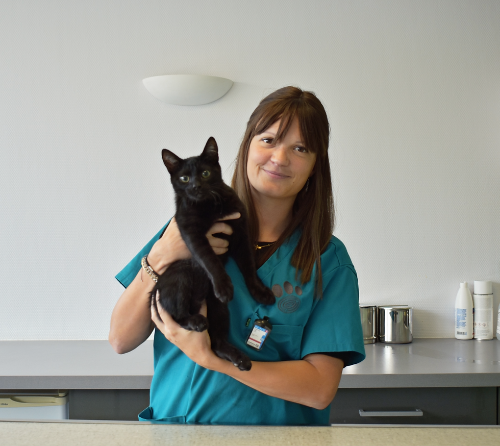 Dr Treffel Emma