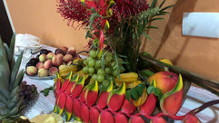 WhatsApp Image 2020-01-30 at 18.01.06 (1