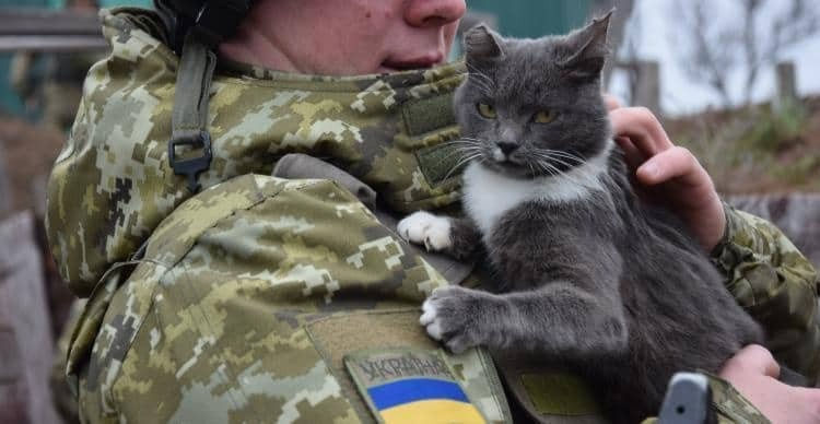 Домашні тварини та ядерний вибух. Що треба знати?