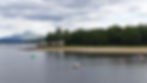 20190625_114241.jpg