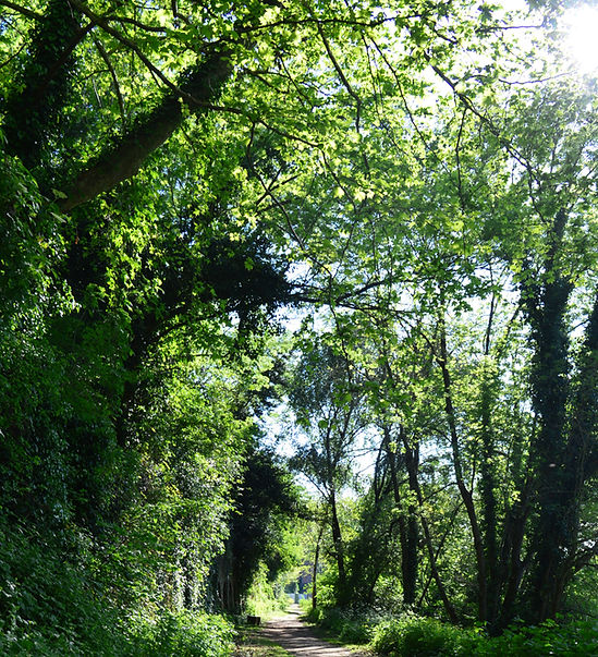 DSC_0470_edited_edited.jpg