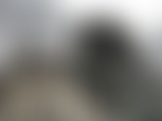 Which Do You Choose - Wisdom or Answers?