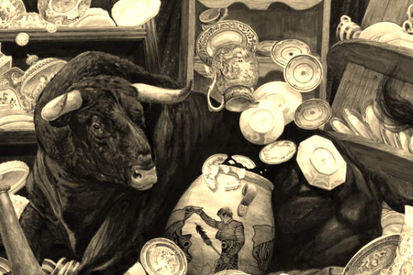 bull in a china shop