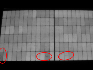 TOPCon UVID Detected During First Year of Operation