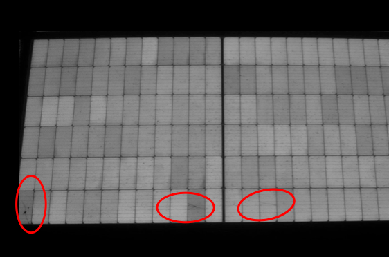 TOPCon UVID Detected During First Year of Operation