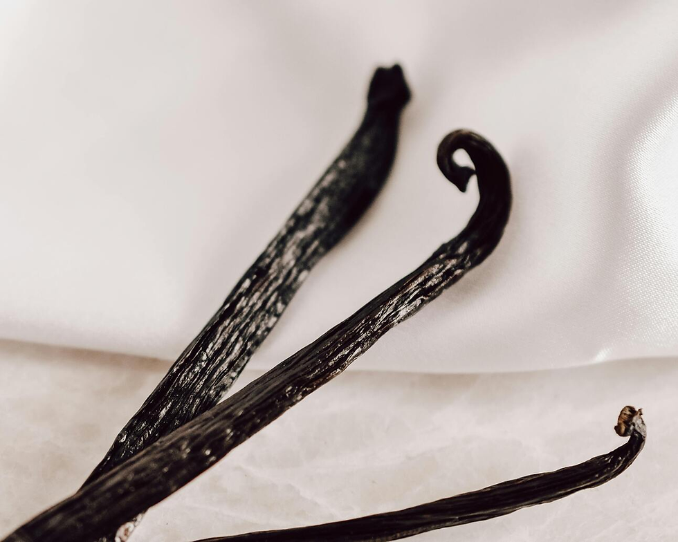 Vanilla bean image by Doraklimova