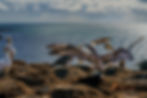 Basstölpel am Meer von Heger Fotografie NRW
