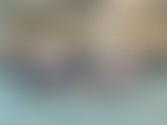 Championnat comité Badminton 4/02/26