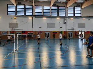 Championnat comité badminton