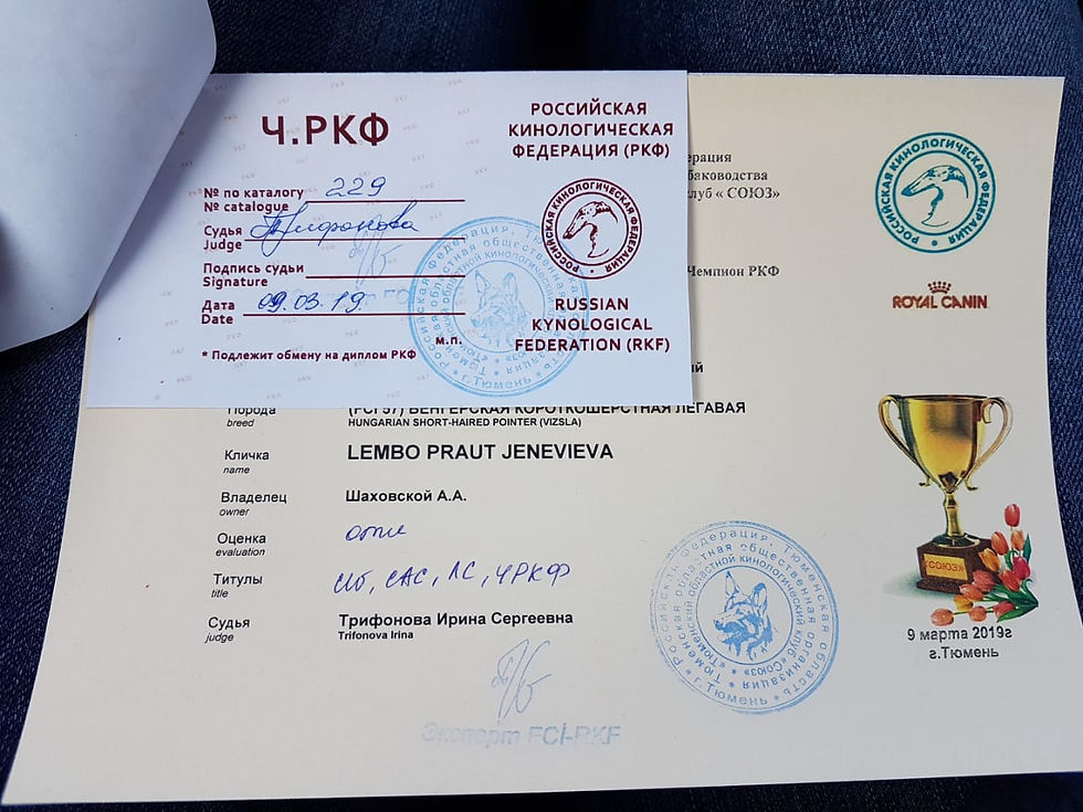 Лембо Праут Женевьева