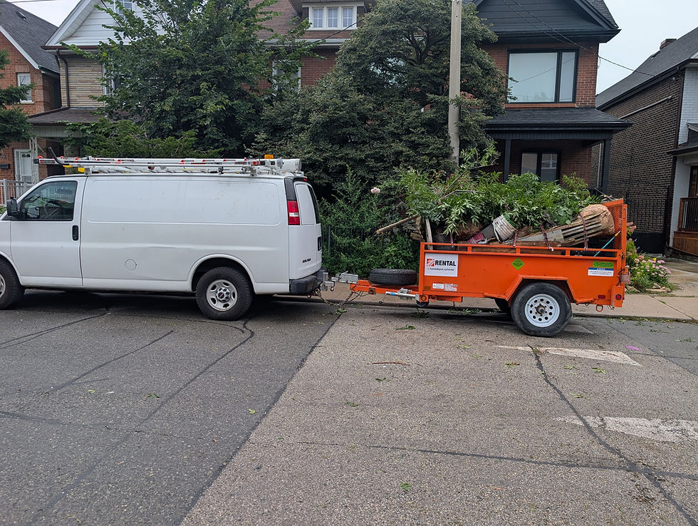 Finished backyard after cleanup and fresh mulch installation near Junction Triangle