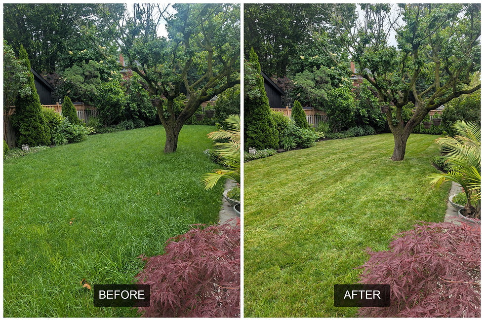 before-after-comparison (1).jpg