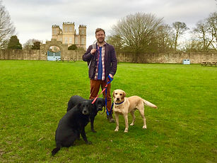 Man with three dogs