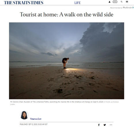 Tourist at home: A walk on the wild side