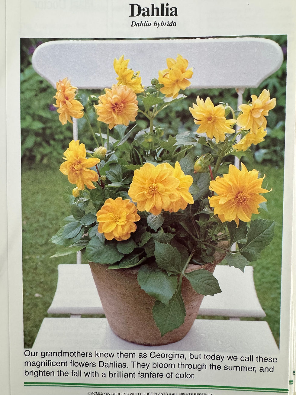 Thumbnail: Flowers and Plants Junk Journal Collage Bundle