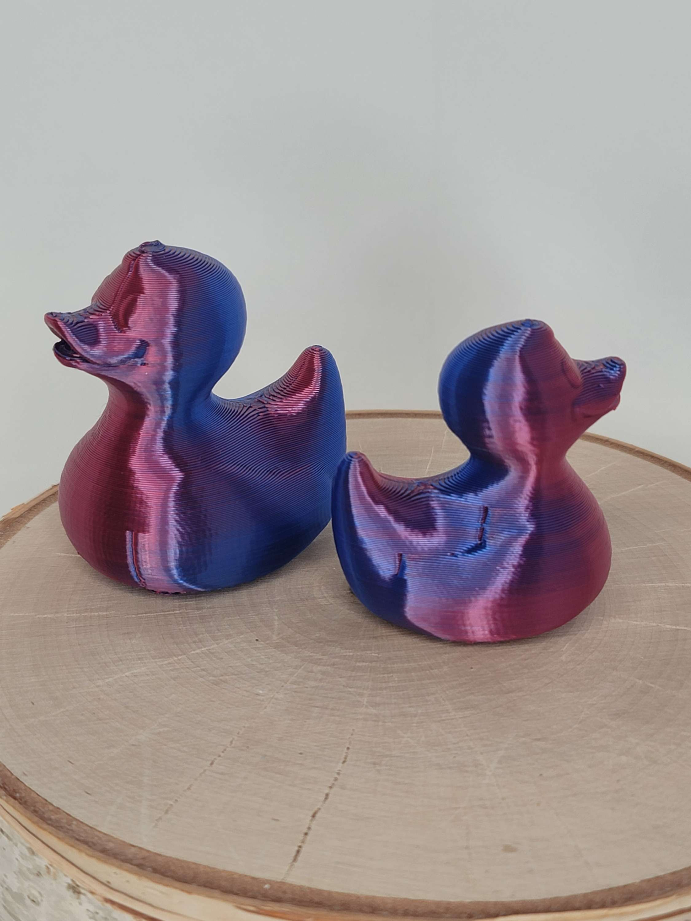 OOPS! Two Tone Magnetic Duck