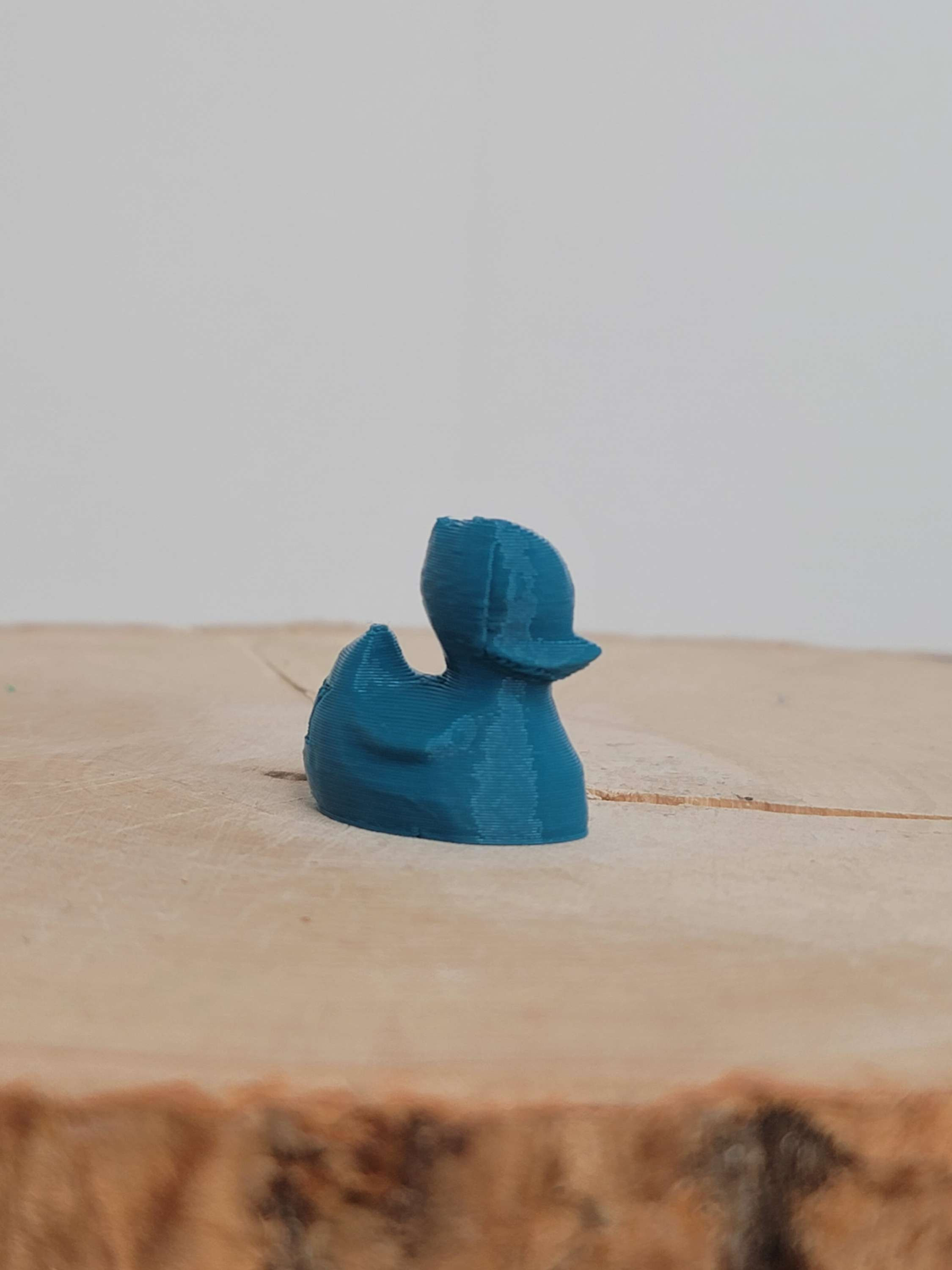 Peacock Blue Duck U valve stem caps