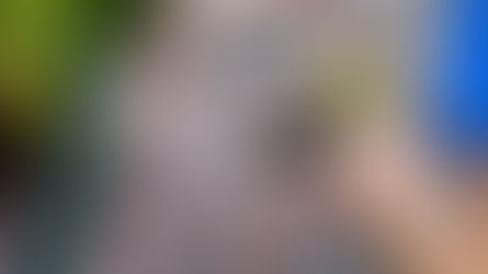 Klinkers reinigen op terras of oprit