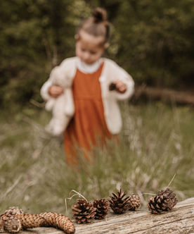 Leven in Beeld Nunspeet Harderwijk Zwolle Dronten Lelystad Almere Zeewolde Harderwijk Zwolle Apeldoorn Deventer Epe Elspeet Elburg