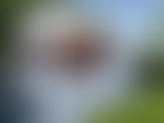 Trendhout buitenverblijf Casa