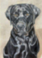Digby