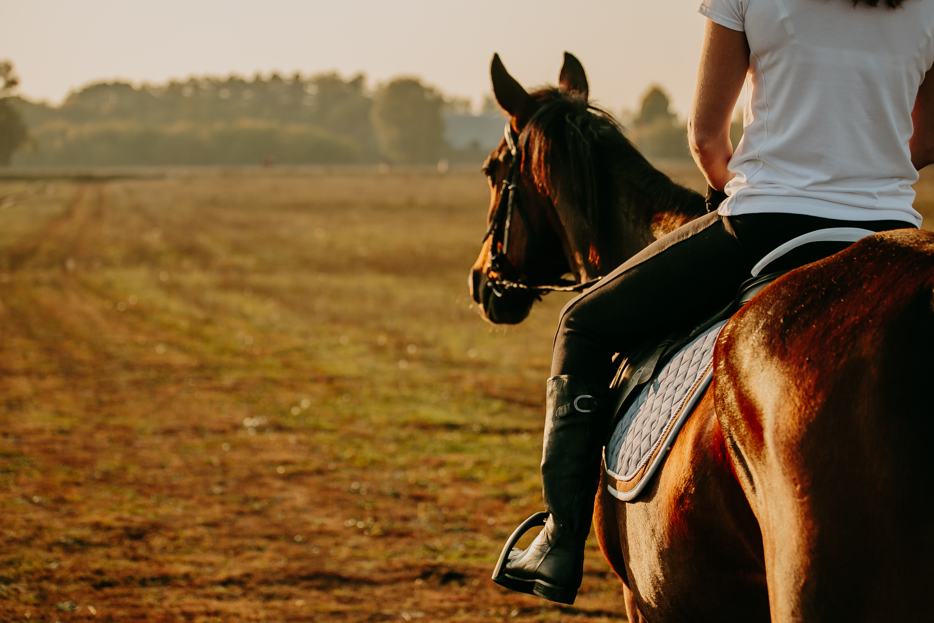 Shadow Glen Riding Stables