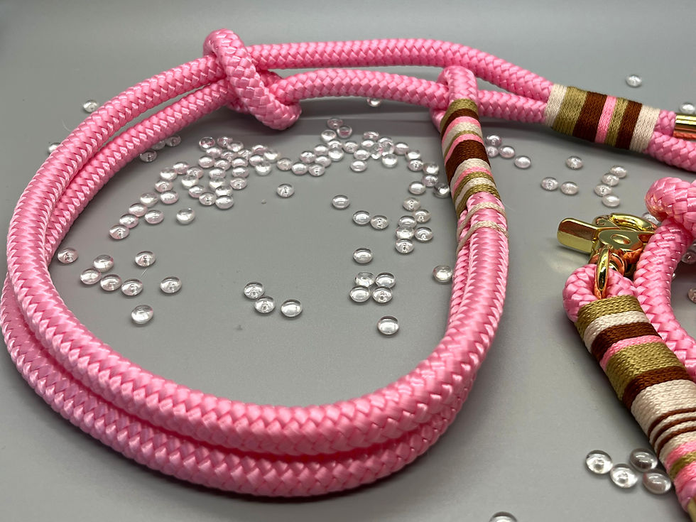 Miniaturbild: Retrieverleine „Doubleline“