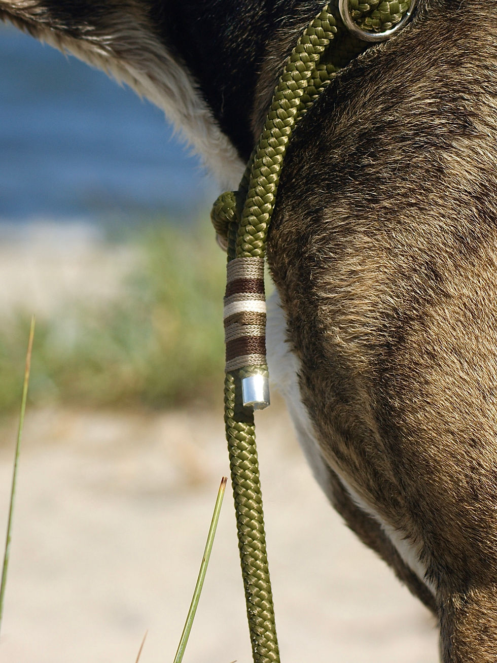 Miniaturbild: Retrieverleine „Doubleline“
