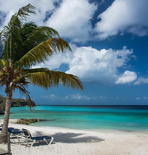 shutterstock_1582785130_edited.jpg