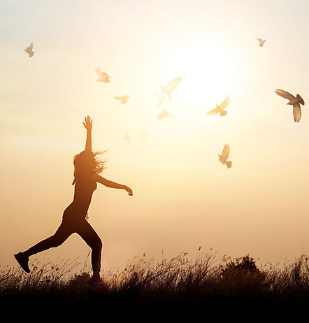 psychologist in Bondi Junction, Sydney