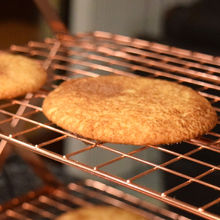 lgdc-1920-snickerdoodle-2.11.22.jpg