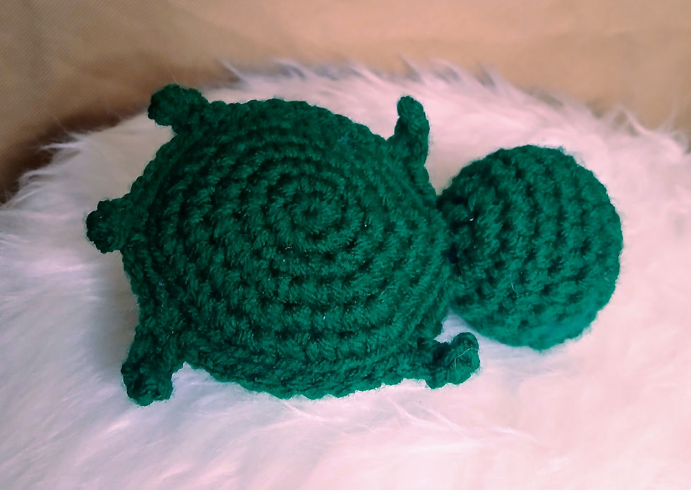 Thumbnail: Mini Turtle 