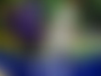 ¡Melgar🇵🇪 lo dio vuelta y se quedó con la victoria como visitante!