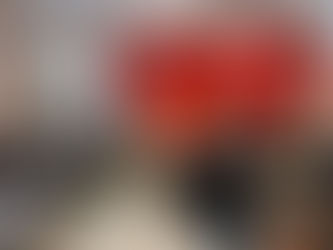 El Consell Polític marca l’habitatge com a eix central i prioritari de l’acció dels socialistes a Palma