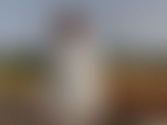 El PSOE Palma exigeix que s’aturi el creixement desmesurat als urbanitzables i sòl rústic de Son Roca, Son Ximelis, La Vileta i Son Anglada