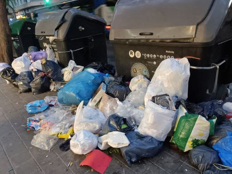 El PSOE Palma denuncia l’estat d’abandonament de Palma i que la ciutat està cada vegada més bruta